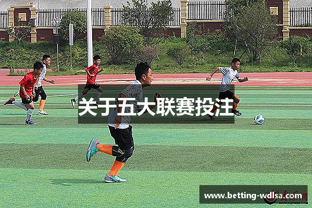 关于五大联赛投注
